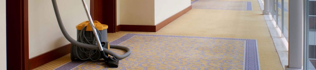 carpet vacuum and cleaning - deep cleaning services